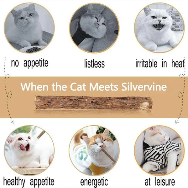 Natural Catnip Chew Sticks