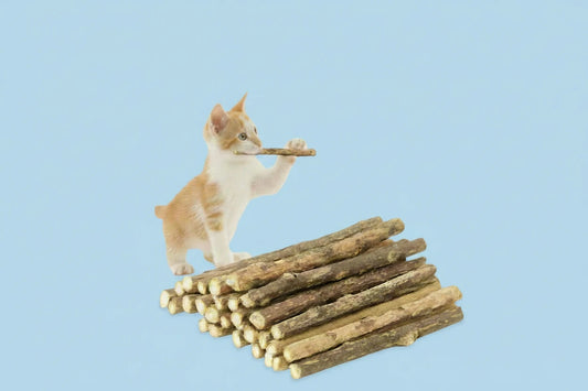 Natural Catnip Chew Sticks