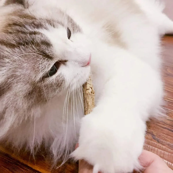 Natural Catnip Chew Sticks