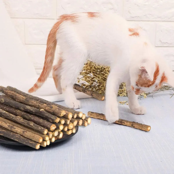 15pcs-Natural-Matatabi-Cat-Catnip-Toy-Kitten-Molar-Chew-Stick-Pet-Cleaning-Teeth-Cat-Treat-Toy.jpg