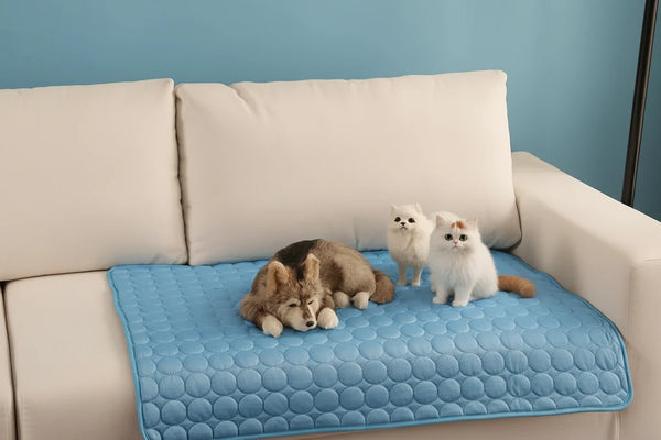 Product placeholder